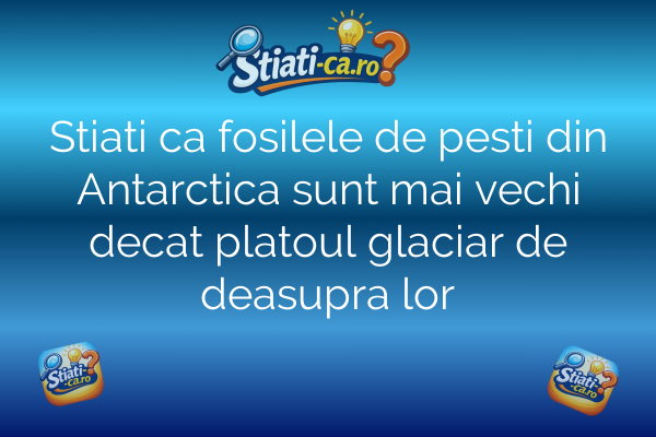 Stiati ca fosilele de pesti din Antarctica sunt mai vechi decat platoul glaciar de deasupra lor