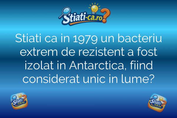 Stiati ca in 1979 un bacteriu extrem de rezistent a fost izolat in Antarctica, fiind considerat unic in lume?