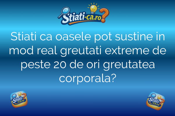 Stiati ca oasele pot sustine in mod real greutati extreme de peste 20 de ori greutatea corporala?