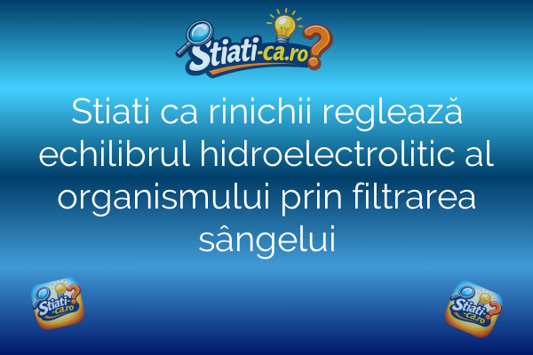 Stiati ca rinichii reglează echilibrul hidroelectrolitic al organismului prin filtrarea sângelui