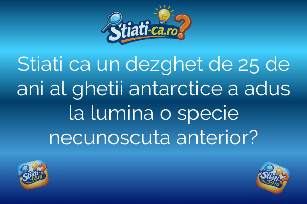 Stiati ca un dezghet de 25 de ani al ghetii antarctice a adus la lumina o specie necunoscuta anterior?