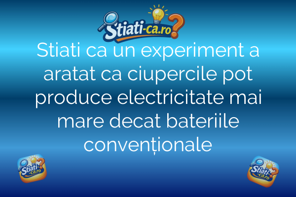 Stiati ca un experiment a aratat ca ciupercile pot produce electricitate mai mare decat bateriile convenționale