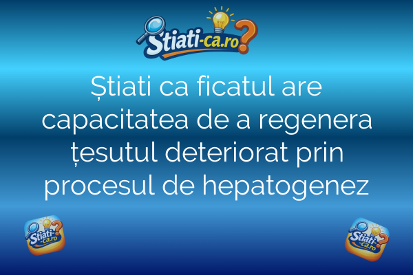 Știati ca ficatul are capacitatea de a regenera țesutul deteriorat prin procesul de hepatogenez