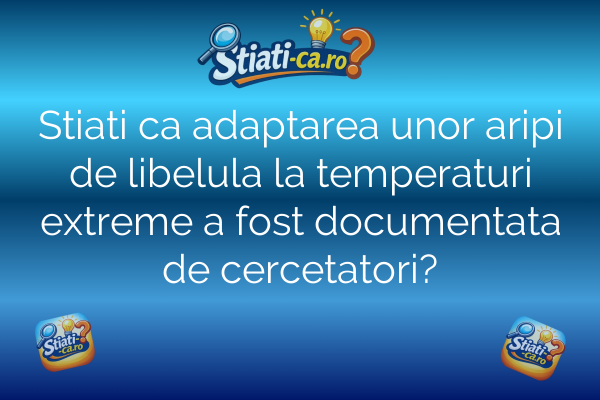 Stiati ca adaptarea unor aripi de libelula la temperaturi extreme a fost documentata de cercetatori?