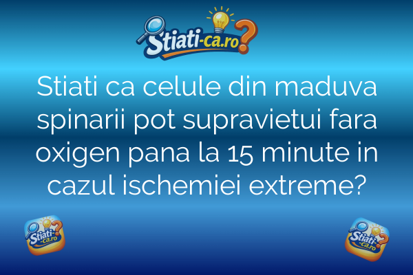 Stiati ca celule din maduva spinarii pot supravietui fara oxigen pana la 15 minute in cazul ischemiei extreme?