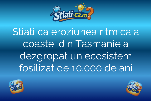 Stiati ca eroziunea ritmica a coastei din Tasmanie a dezgropat un ecosistem fosilizat de 10.000 de ani