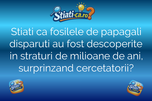 Stiati ca fosilele de papagali disparuti au fost descoperite in straturi de milioane de ani, surprinzand cercetatorii?