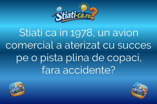 Stiati ca in 1978, un avion comercial a aterizat cu succes pe o pista plina de copaci, fara accidente?
