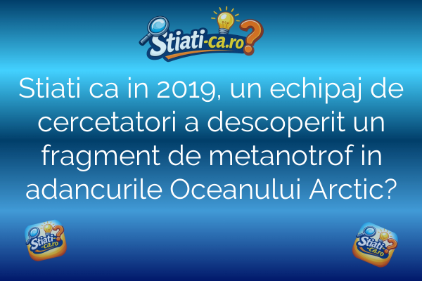 Stiati ca in 2019, un echipaj de cercetatori a descoperit un fragment de metanotrof in adancurile Oceanului Arctic?