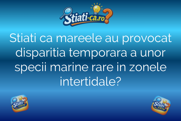 Stiati ca mareele au provocat disparitia temporara a unor specii marine rare in zonele intertidale?