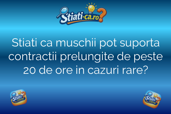 Stiati ca muschii pot suporta contractii prelungite de peste 20 de ore in cazuri rare?