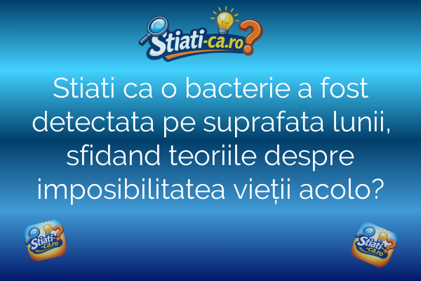 Stiati ca o bacterie a fost detectata pe suprafata lunii, sfidand teoriile despre imposibilitatea vieții acolo?