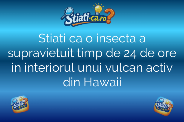 Stiati ca o insecta a supravietuit timp de 24 de ore in interiorul unui vulcan activ din Hawaii