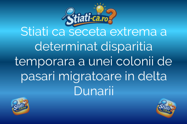 Stiati ca seceta extrema a determinat disparitia temporara a unei colonii de pasari migratoare in delta Dunarii