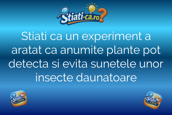 Stiati ca un experiment a aratat ca anumite plante pot detecta si evita sunetele unor insecte daunatoare