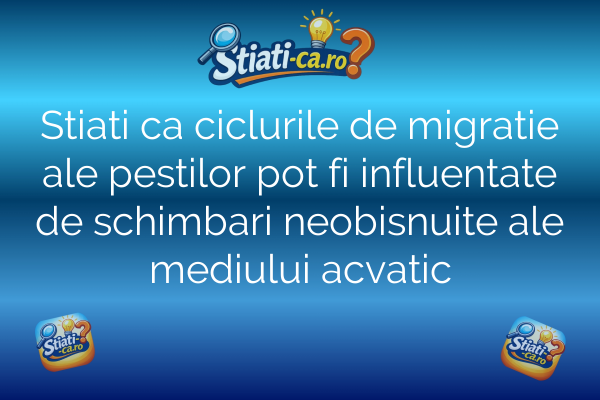 Stiati ca ciclurile de migratie ale pestilor pot fi influentate de schimbari neobisnuite ale mediului acvatic