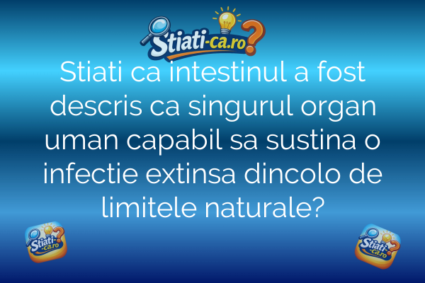 Stiati ca intestinul a fost descris ca singurul organ uman capabil sa sustina o infectie extinsa dincolo de limitele naturale?