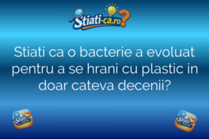 Stiati ca o bacterie a evoluat pentru a se hrani cu plastic in doar cateva decenii?