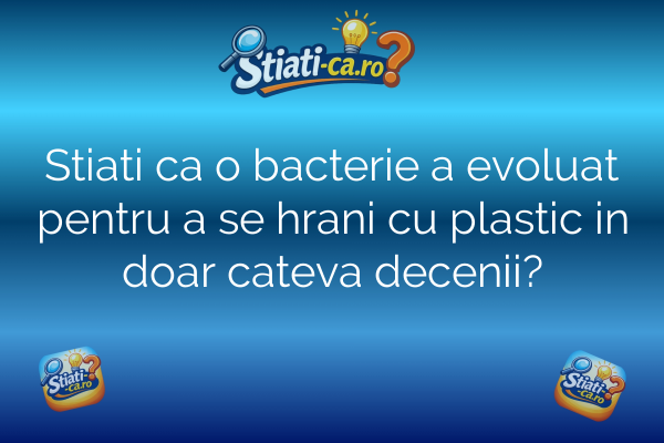 Stiati ca o bacterie a evoluat pentru a se hrani cu plastic in doar cateva decenii?