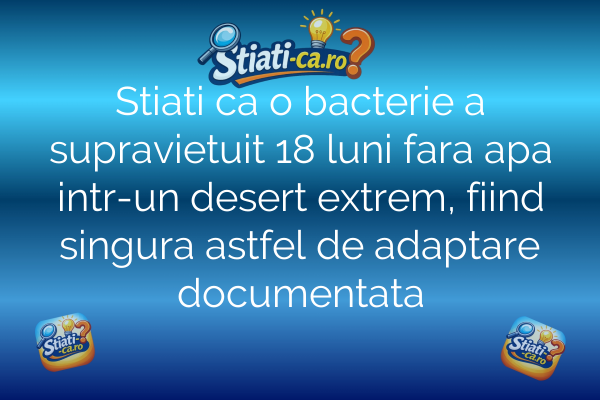Stiati ca o bacterie a supravietuit 18 luni fara apa intr-un desert extrem, fiind singura astfel de adaptare documentata