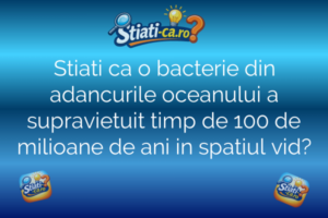 Știință Stiati ca o bacterie din adancurile oceanului a supravietuit timp de 100 de milioane de ani in spatiul vid?
