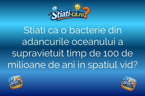 Stiati ca o bacterie din adancurile oceanului a supravietuit timp de 100 de milioane de ani in spatiul vid?