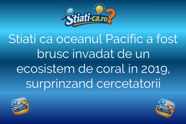 Stiati ca oceanul Pacific a fost brusc invadat de un ecosistem de coral in 2019, surprinzand cercetatorii