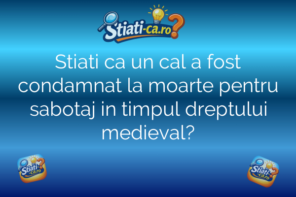 Stiati ca un cal a fost condamnat la moarte pentru sabotaj in timpul dreptului medieval?