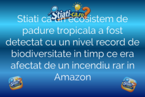 Stiati ca un ecosistem de padure tropicala a fost detectat cu un nivel record de biodiversitate in timp ce era afectat de un incendiu rar in Amazon