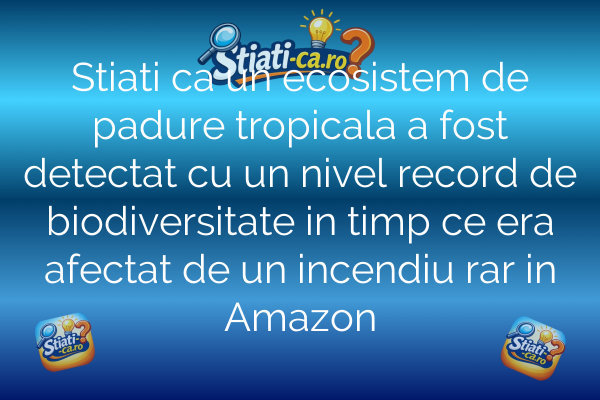 Stiati ca un ecosistem de padure tropicala a fost detectat cu un nivel record de biodiversitate in timp ce era afectat de un incendiu rar in Amazon
