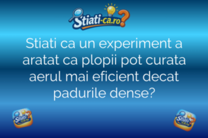 Stiati ca un experiment a aratat ca plopii pot curata aerul mai eficient decat padurile dense?