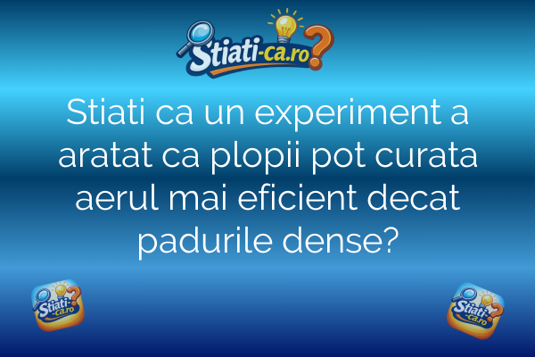 Stiati ca un experiment a aratat ca plopii pot curata aerul mai eficient decat padurile dense?