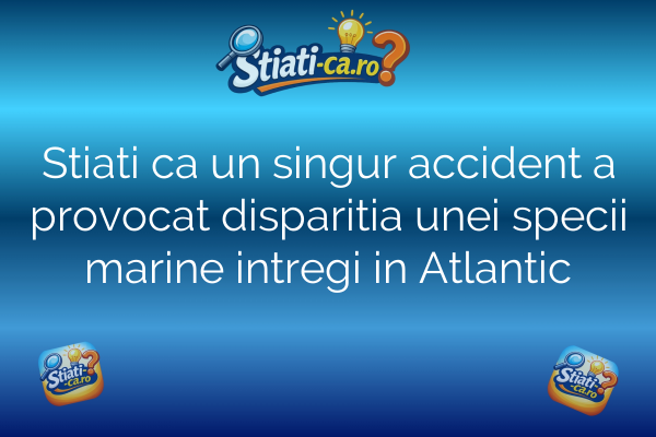 Stiati ca un singur accident a provocat disparitia unei specii marine intregi in Atlantic