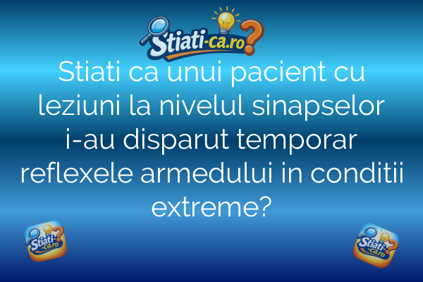 Stiati ca unui pacient cu leziuni la nivelul sinapselor i-au disparut temporar reflexele armedului in conditii extreme?