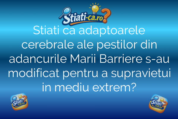 Stiati ca adaptoarele cerebrale ale pestilor din adancurile Marii Barriere s-au modificat pentru a supravietui in mediu extrem?
