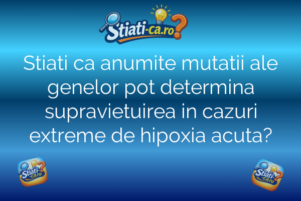 Stiati ca anumite mutatii ale genelor pot determina supravietuirea in cazuri extreme de hipoxia acuta?