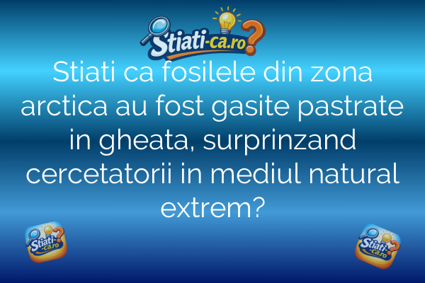 Stiati ca fosilele din zona arctica au fost gasite pastrate in gheata, surprinzand cercetatorii in mediul natural extrem?