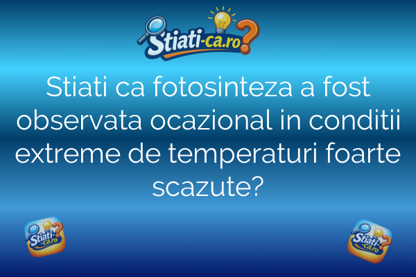 Stiati ca fotosinteza a fost observata ocazional in conditii extreme de temperaturi foarte scazute?