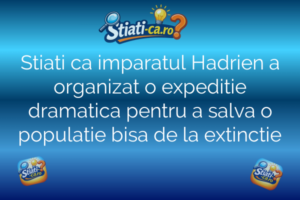 Stiati ca imparatul Hadrien a organizat o expeditie dramatica pentru a salva o populatie bisa de la extinctie