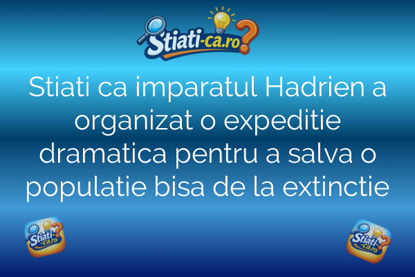 Stiati ca imparatul Hadrien a organizat o expeditie dramatica pentru a salva o populatie bisa de la extinctie
