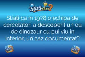 Stiati ca in 1978 o echipa de cercetatori a descoperit un ou de dinozaur cu pui viu in interior, un caz documentat?