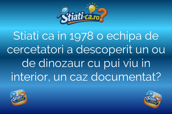 Stiati ca in 1978 o echipa de cercetatori a descoperit un ou de dinozaur cu pui viu in interior, un caz documentat?