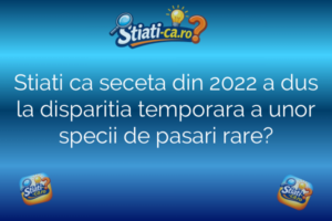 Natura și animale Stiati ca seceta din 2022 a dus la disparitia temporara a unor specii de pasari rare?