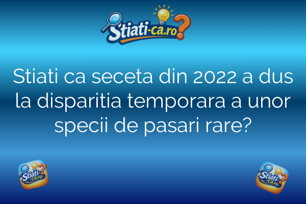 Stiati ca seceta din 2022 a dus la disparitia temporara a unor specii de pasari rare?