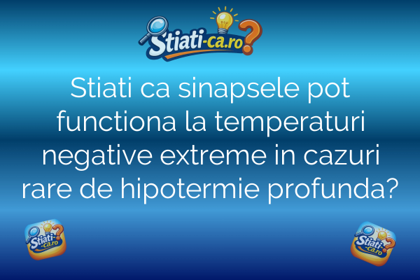Stiati ca sinapsele pot functiona la temperaturi negative extreme in cazuri rare de hipotermie profunda?
