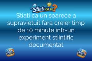 Stiati ca un soarece a supravietuit fara creier timp de 10 minute intr-un experiment stiintific documentat