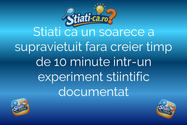 Stiati ca un soarece a supravietuit fara creier timp de 10 minute intr-un experiment stiintific documentat