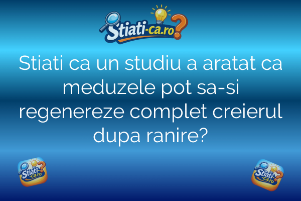 Stiati ca un studiu a aratat ca meduzele pot sa-si regenereze complet creierul dupa ranire?