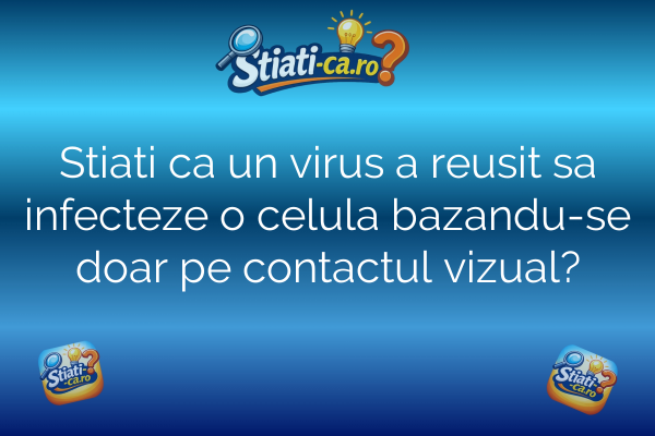 Stiati ca un virus a reusit sa infecteze o celula bazandu-se doar pe contactul vizual?