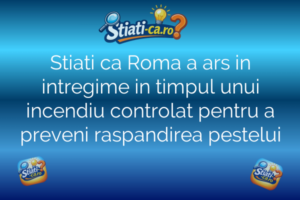Stiati ca Roma a ars in intregime in timpul unui incendiu controlat pentru a preveni raspandirea pestelui